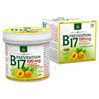 B17 Preventum